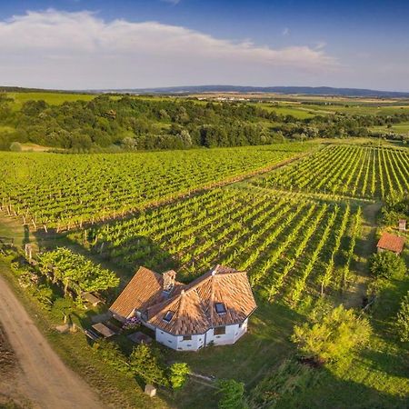 Robinson Vila Kitokret Kutjevo Εξωτερικό φωτογραφία