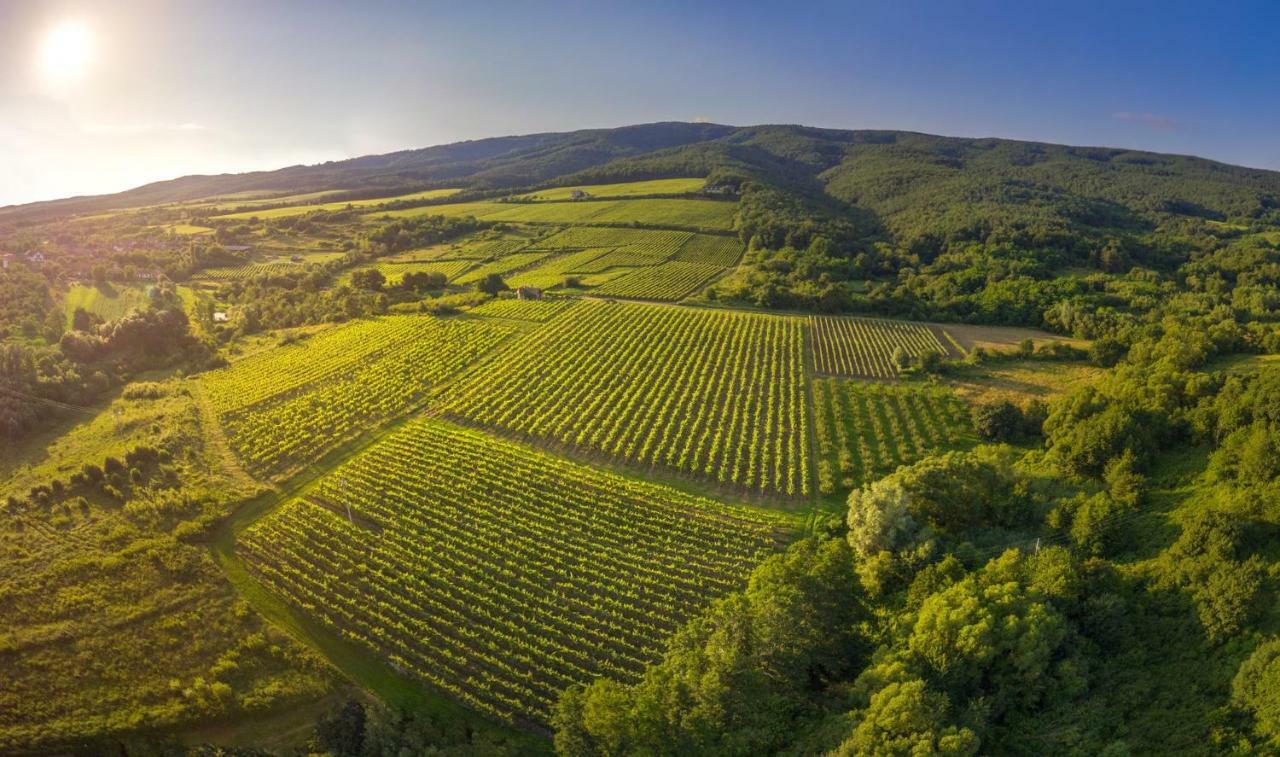 Robinson Vila Kitokret Kutjevo Εξωτερικό φωτογραφία