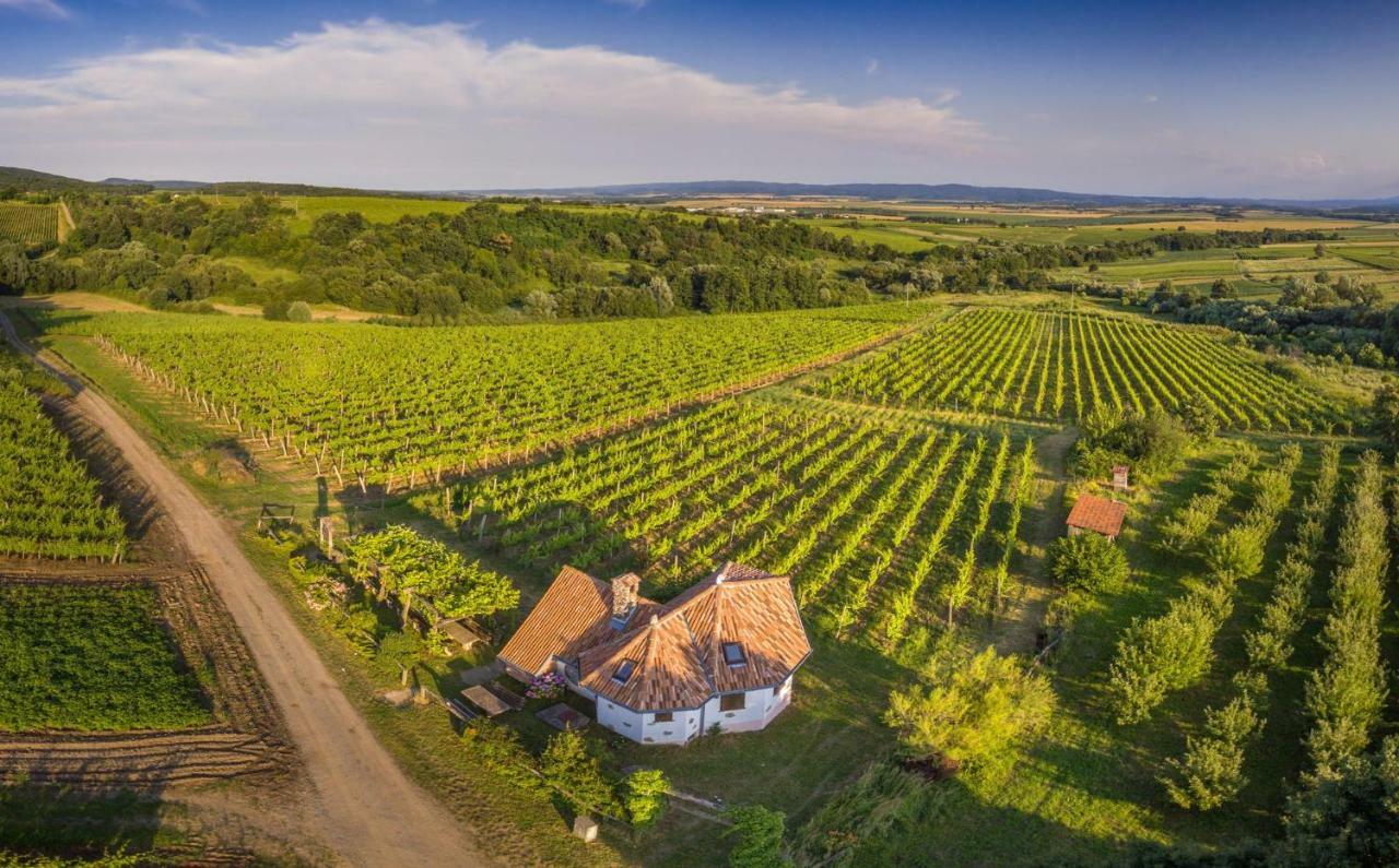 Robinson Vila Kitokret Kutjevo Εξωτερικό φωτογραφία