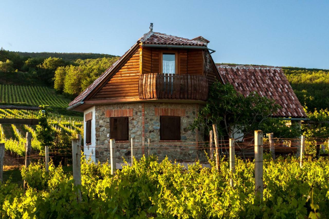 Robinson Vila Kitokret Kutjevo Εξωτερικό φωτογραφία