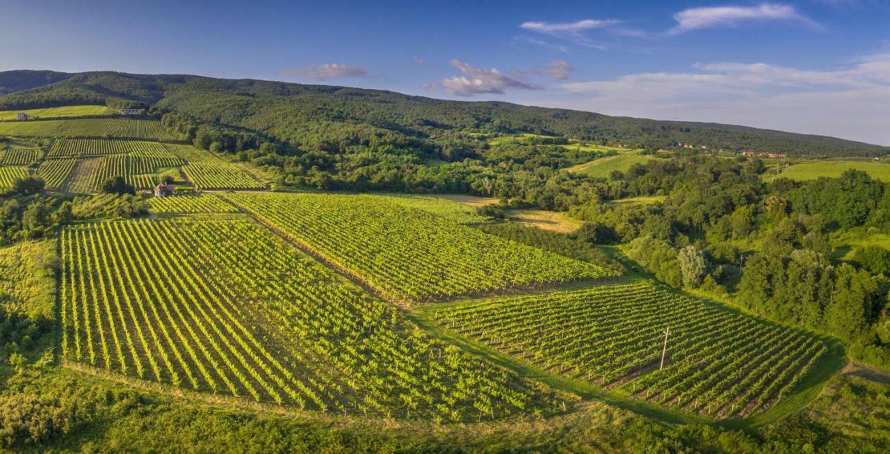 Robinson Vila Kitokret Kutjevo Εξωτερικό φωτογραφία