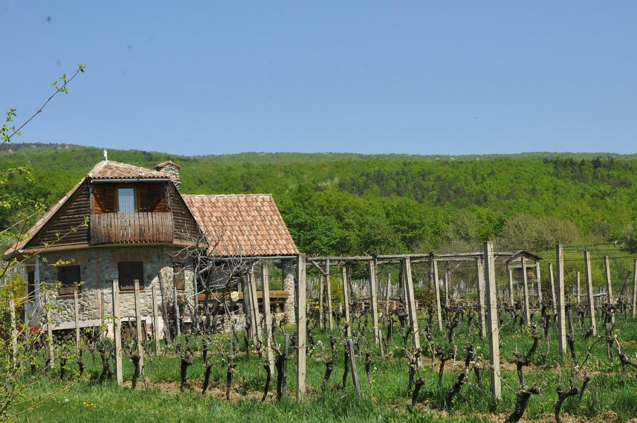 Robinson Vila Kitokret Kutjevo Εξωτερικό φωτογραφία