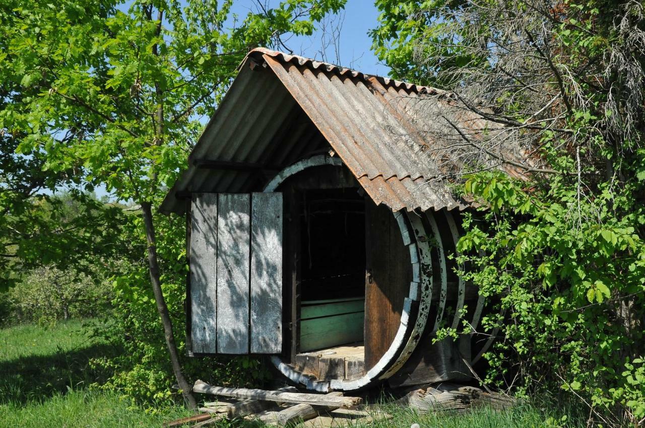 Robinson Vila Kitokret Kutjevo Εξωτερικό φωτογραφία